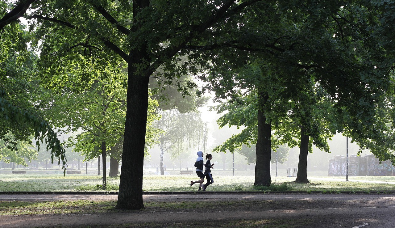 Examples of Green Spaces Initiatives